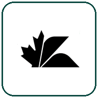 ikEssentials logo
